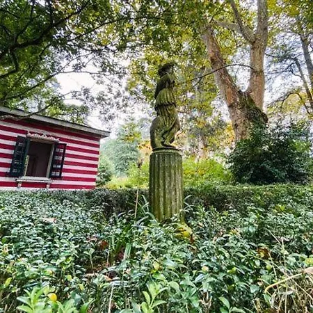 アパート Apto Ramon Y Cajal,1- Centrico Y Cerca De Playa San Lorenzo-3hab Garaje Opc